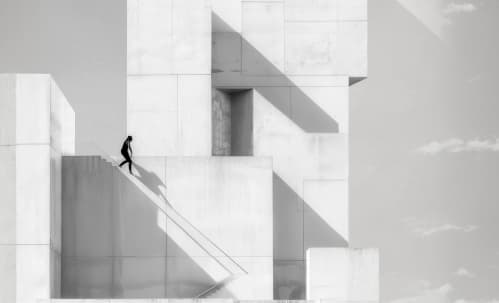 One Ordnary ecosystem